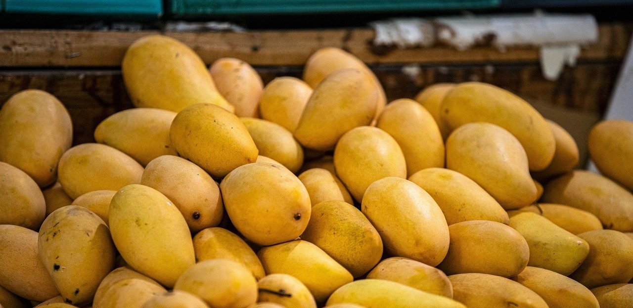 Mangoes on a table